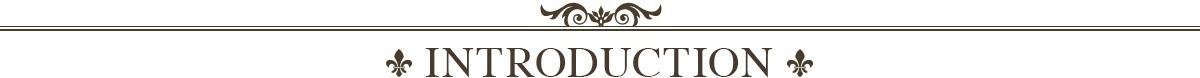 INTRODUCTION